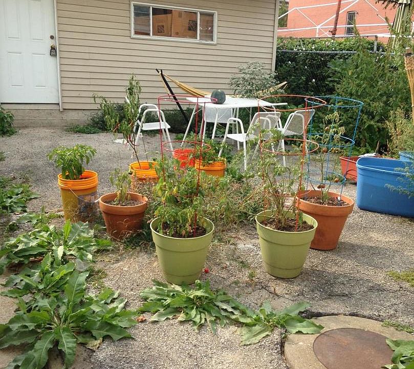 2nd image of 3534 S Parnell Ave APT 1F