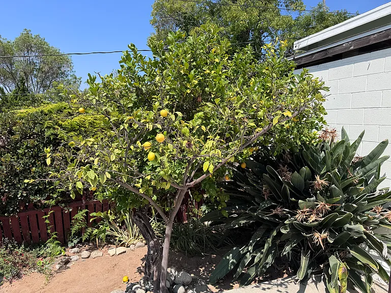 4307 York Blvd — Photo 42