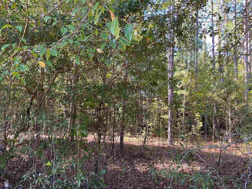 0 State Highway 46, Cadwell, GA 31009 Zillow