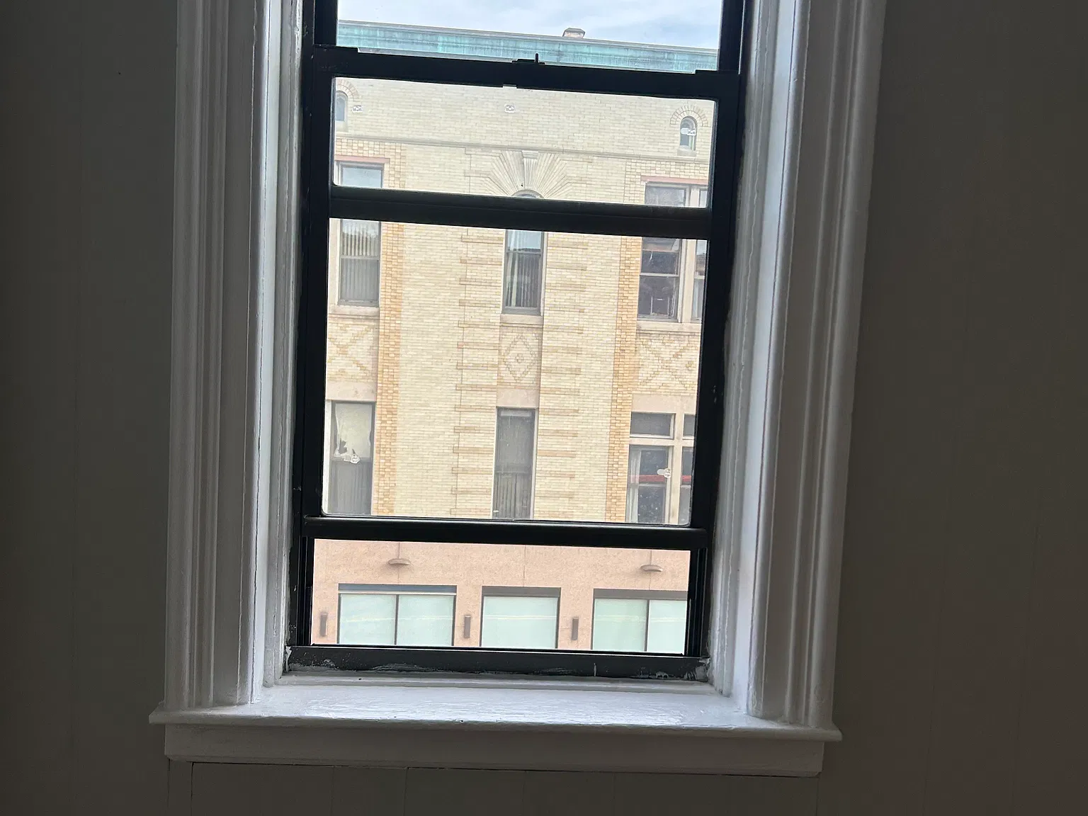 Studio, $900 — Photo 2