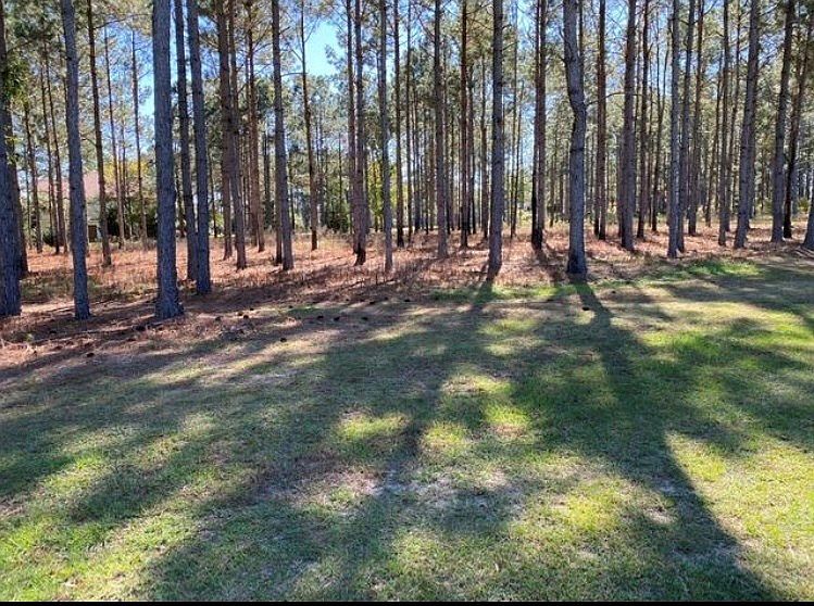 0 Old Ocilla Rd, Tifton, GA 31794 | Zillow