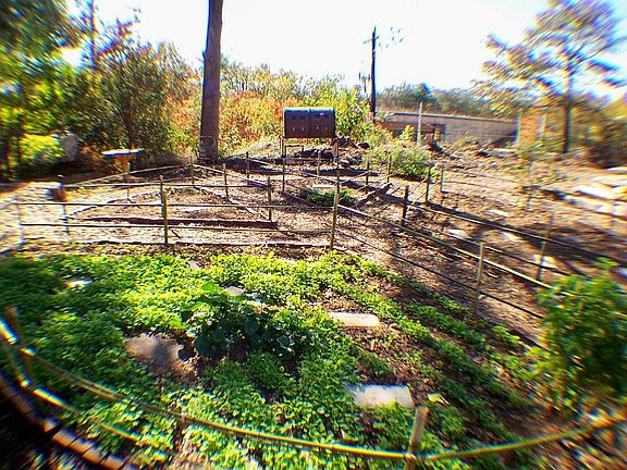 organic Peace Garden