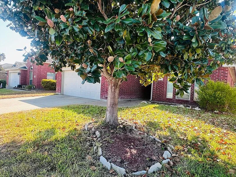 3 bed, 2.0 bath, 1619 sqft, $2,200 — Photo 4