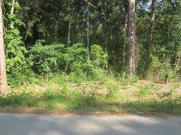 31127 Primrose Ln, Magnolia, TX 77354