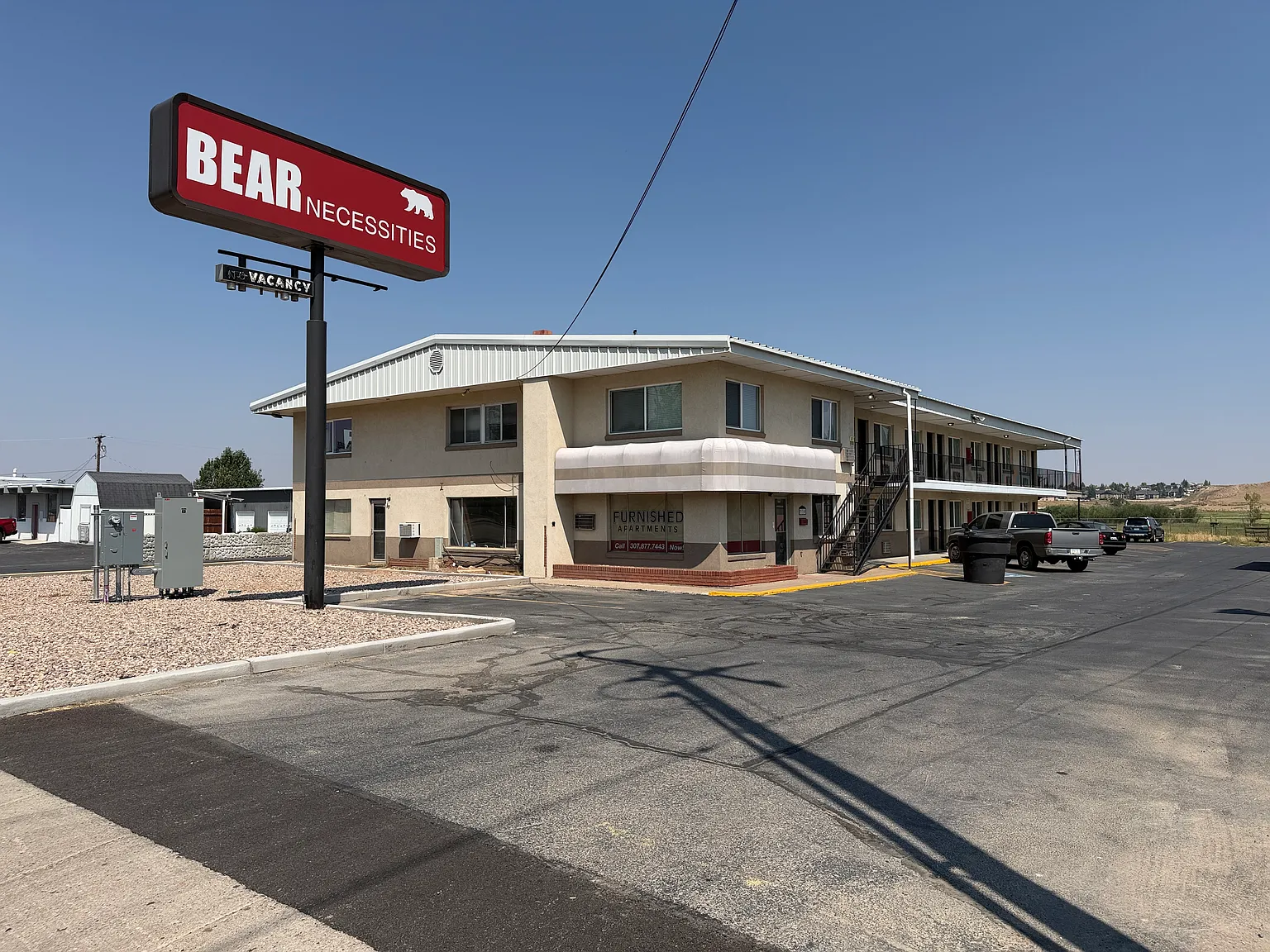 Bear Necessities — Photo 2