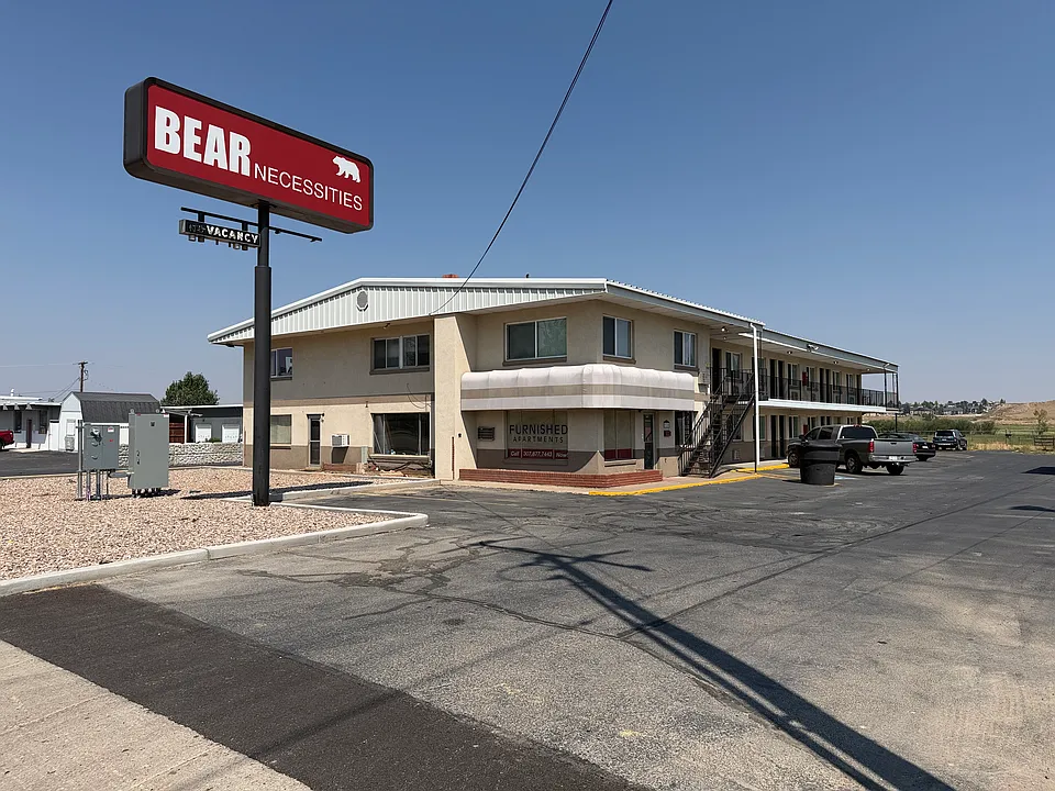 Bear Necessities