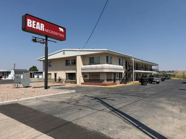 Bear Necessities