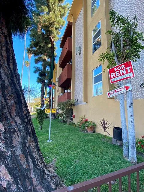 Studio, 380 sqft, $1,650 — Photo 3