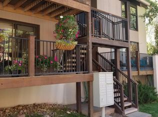 601 S Monarch St, Aspen, CO 81611