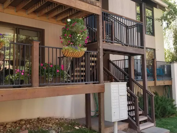 601 S Monarch St, Aspen, CO 81611