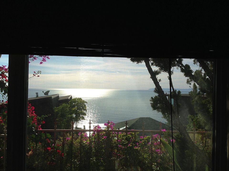 Ocean view from living room