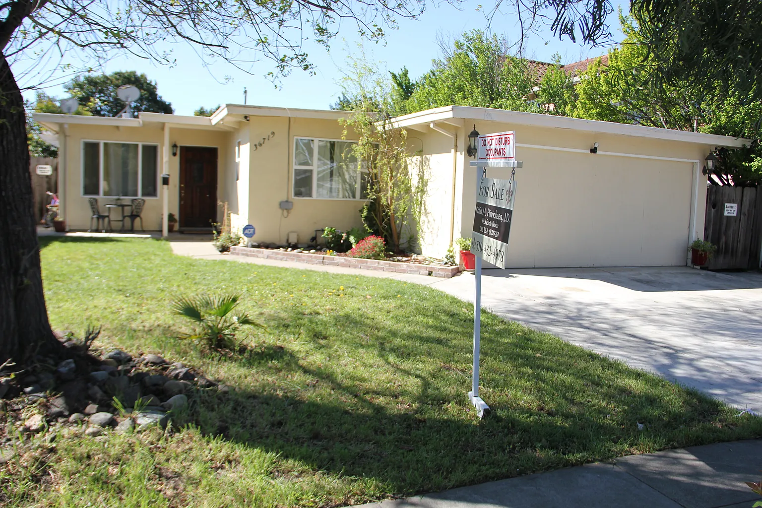36719 Ruschin Dr photo 1