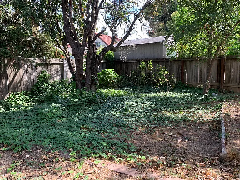 2823 Cascade Pl — Photo 21
