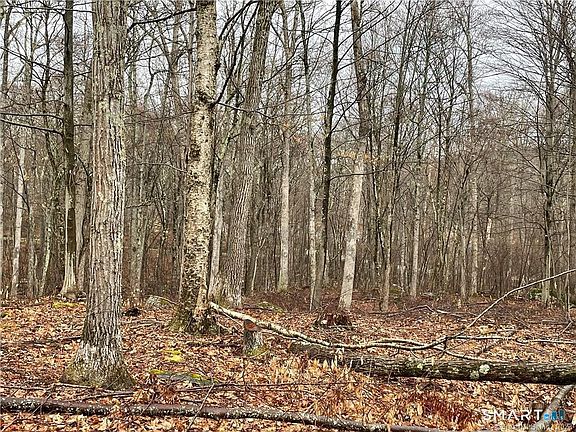 5th image of Westwoods Road #2
