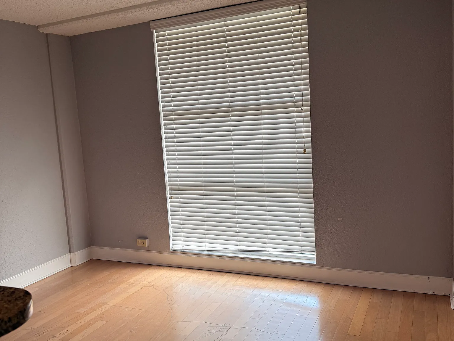 1 bed, 554 sqft, $1,500 — Photo 3