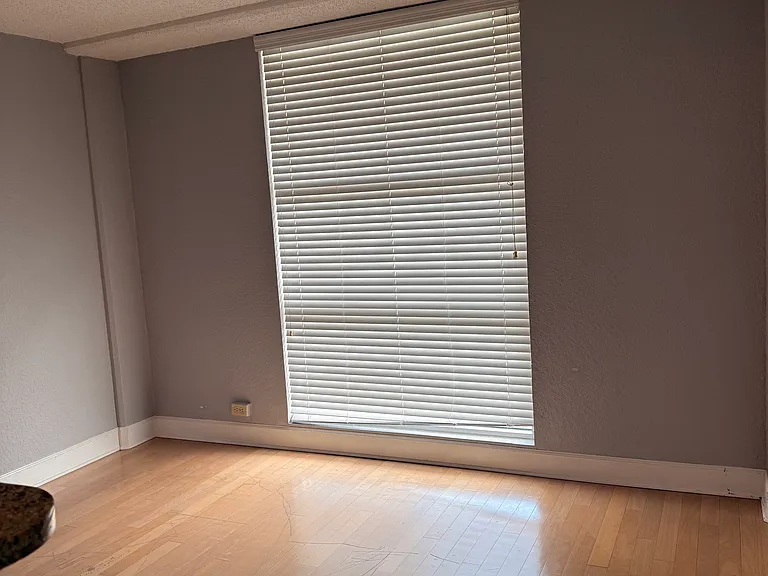151 E Washington St #503 — Photo 3