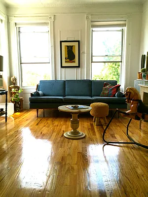 Rented by Guardian Property Management of Brooklyn LLC | media 10