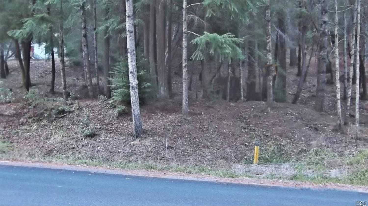 25049 Brooktrails Dr Willits Ca 95490 Mls 21916316 Zillow