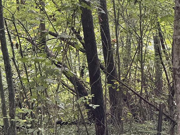 3rd image of 0 White Oak Creek Rd