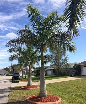 3rd image of 918 SW 35th St