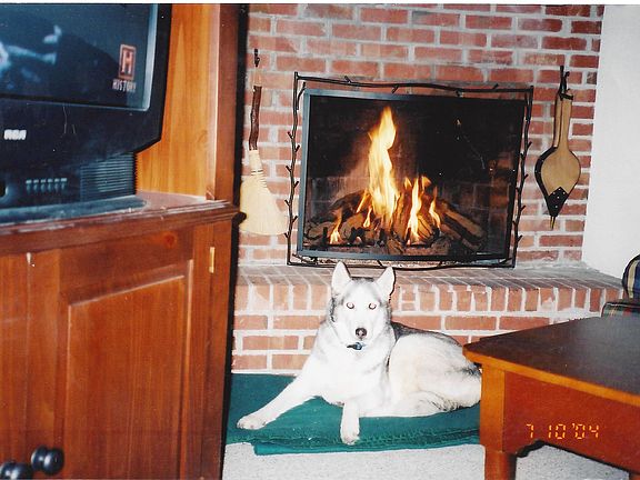 Remote Control Propane FP