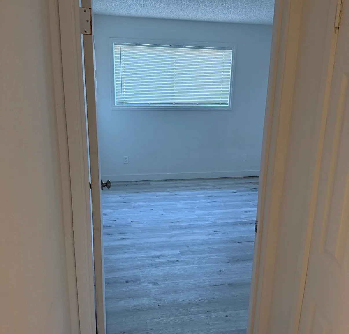 3 bed, 1.5 bath, 1154 sqft, $1,750 — Photo 2