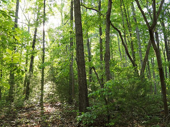5th image of 0 Turkey Ridge Dr