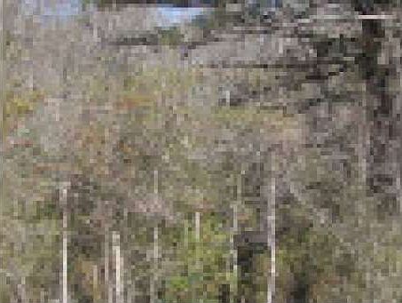 2nd image of 6286 Union Hill Rd