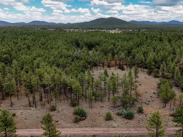 039F Dynamite Rd, Lakeside, AZ 85929