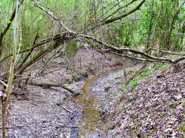 Highway 44 LOT WP001, Ruth, MS 39662