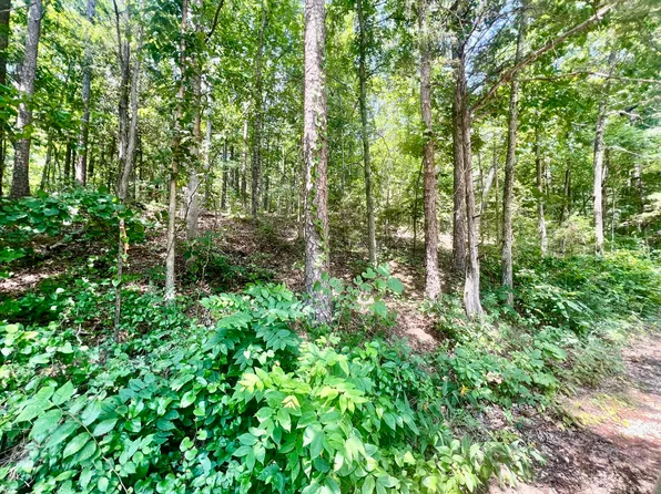 000 County Road 301, Eminence, MO 65466