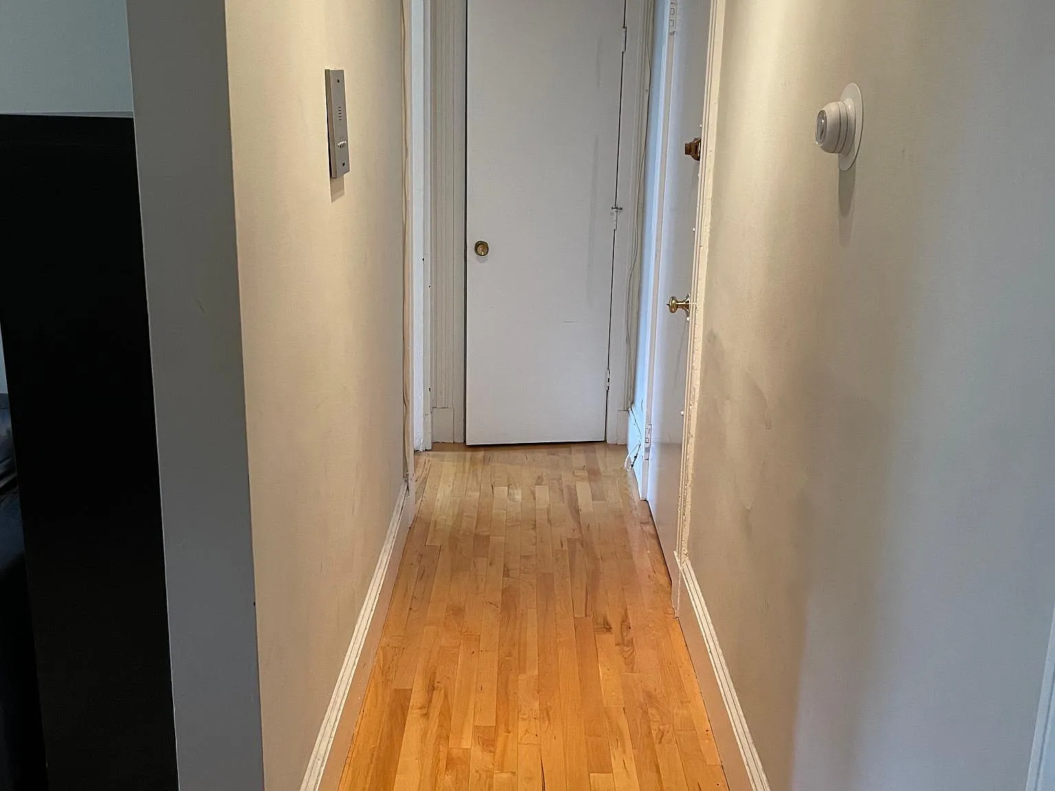 1 bed, 420 sqft, $2,800 — Photo 4