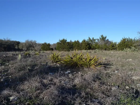 738 Rolling Oaks Dr, Harper, TX 78631