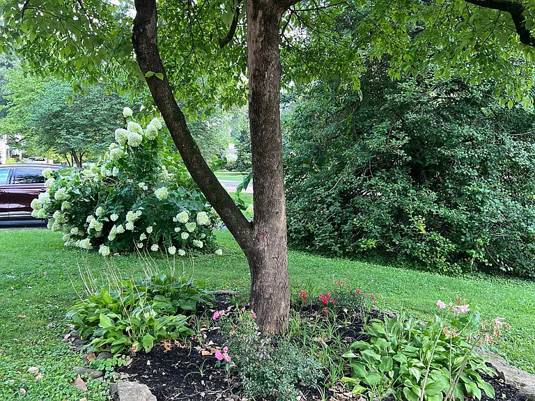 207 Fairmeade Rd — Photo 3