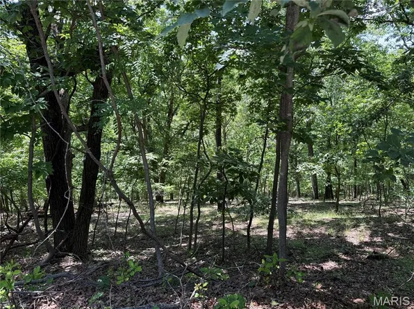 1361 Bear Canyon Rd, Ballwin, MO 63021