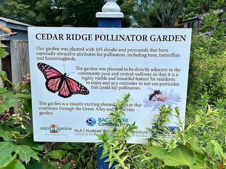 Pollinator Garden