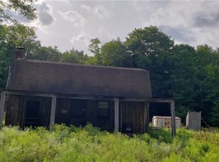 64 Old Hunter Rd, Livingston Manor, NY 12758