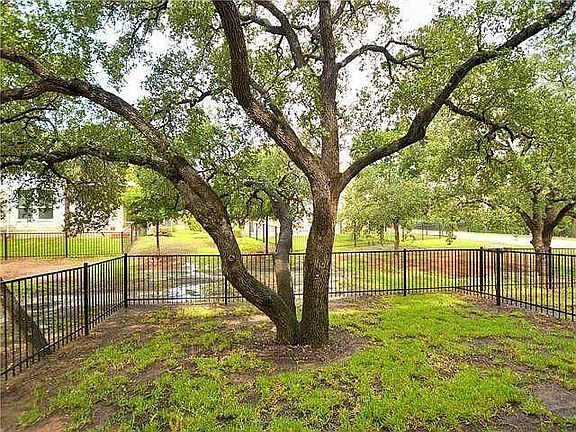 Lovely backyard and tree