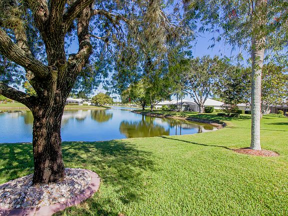 Peaceful backyard water view