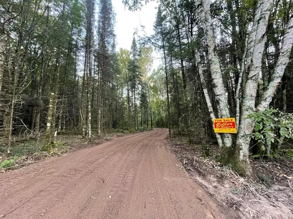 Lot 3 Fadness Road, Winter, WI 54896