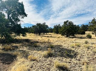 15 River Ln #52, Quemado, NM 87829