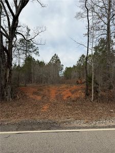 4 Old Columbus Rd, Opelika, AL, 36804