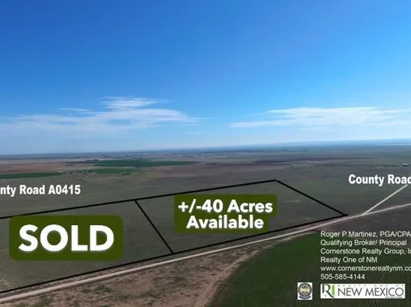 Langley Langley Tract #2-40ACRE, Estancia, NM 87016