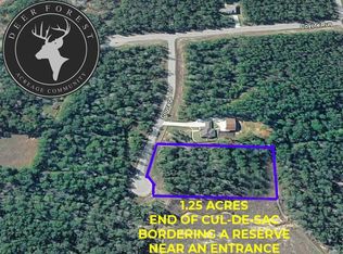 1-4-63 Courage Trl Lot 63, New Waverly, TX 77358