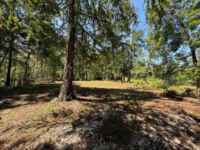 Easterly Ln, Maurepas, LA, 70449