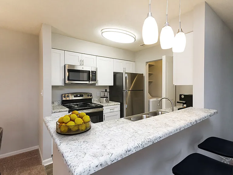 Palmetto Place Apartments — Photo 9
