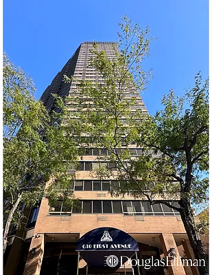 Sold by Douglas Elliman | media 33