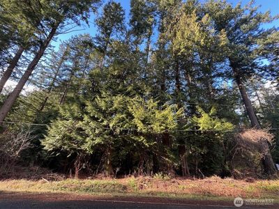 0 Lot 1 Mill Road, Pt Roberts, WA, 98281