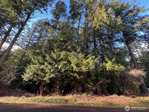 0 Lot 1 Mill Road, Point Roberts, WA 98281