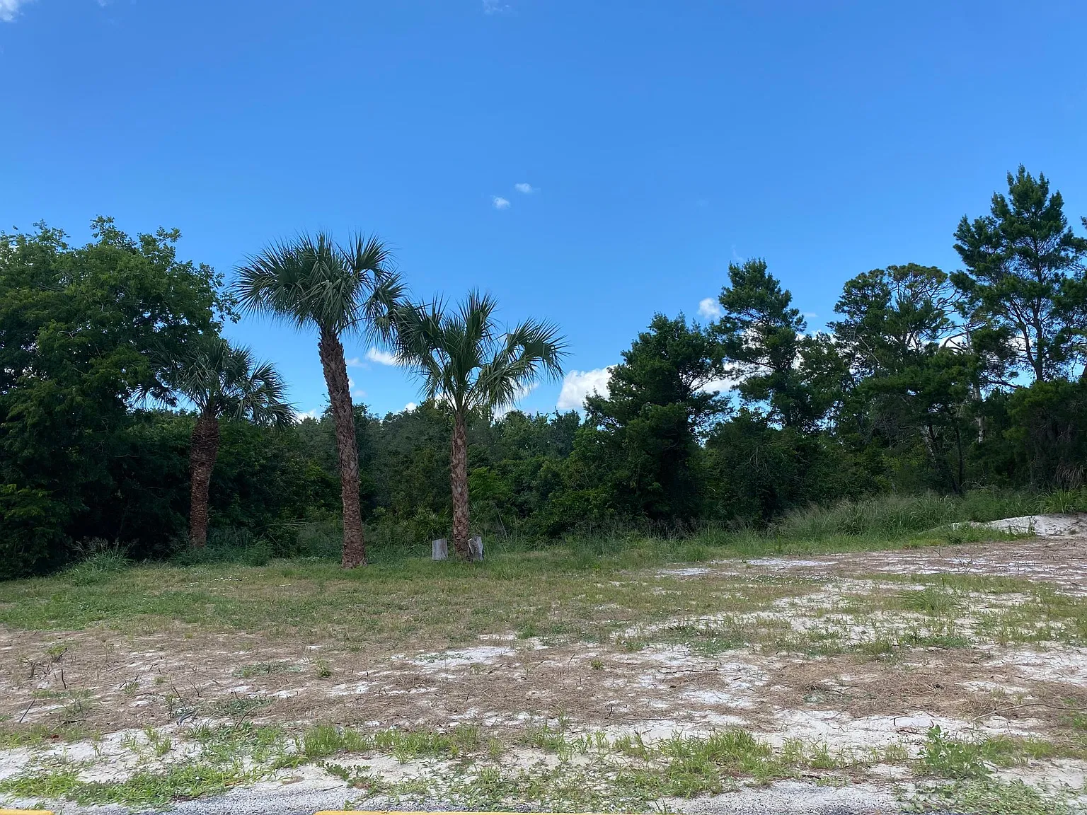 2 bed, 901 sqft, $1,475 — Photo 3